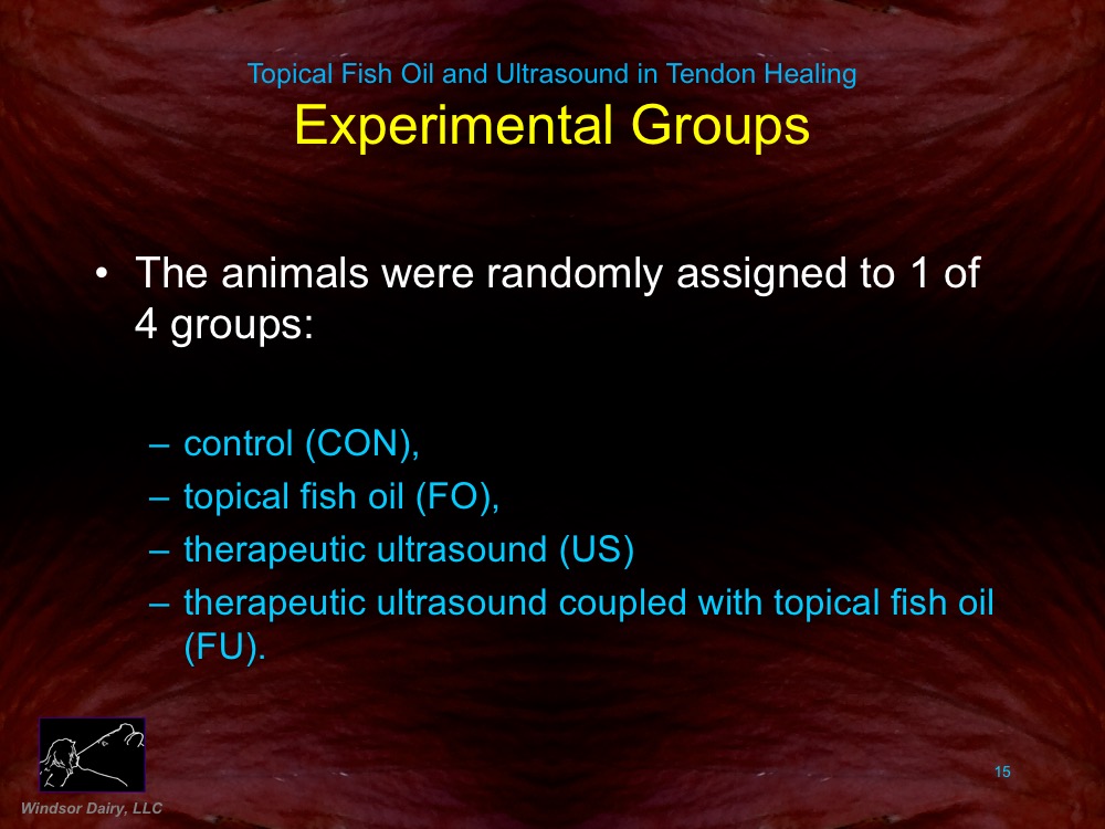 Topical Fish Oil and Ultrasound Assist Tendon Healing: Rat Study shows how various healing therapies compare